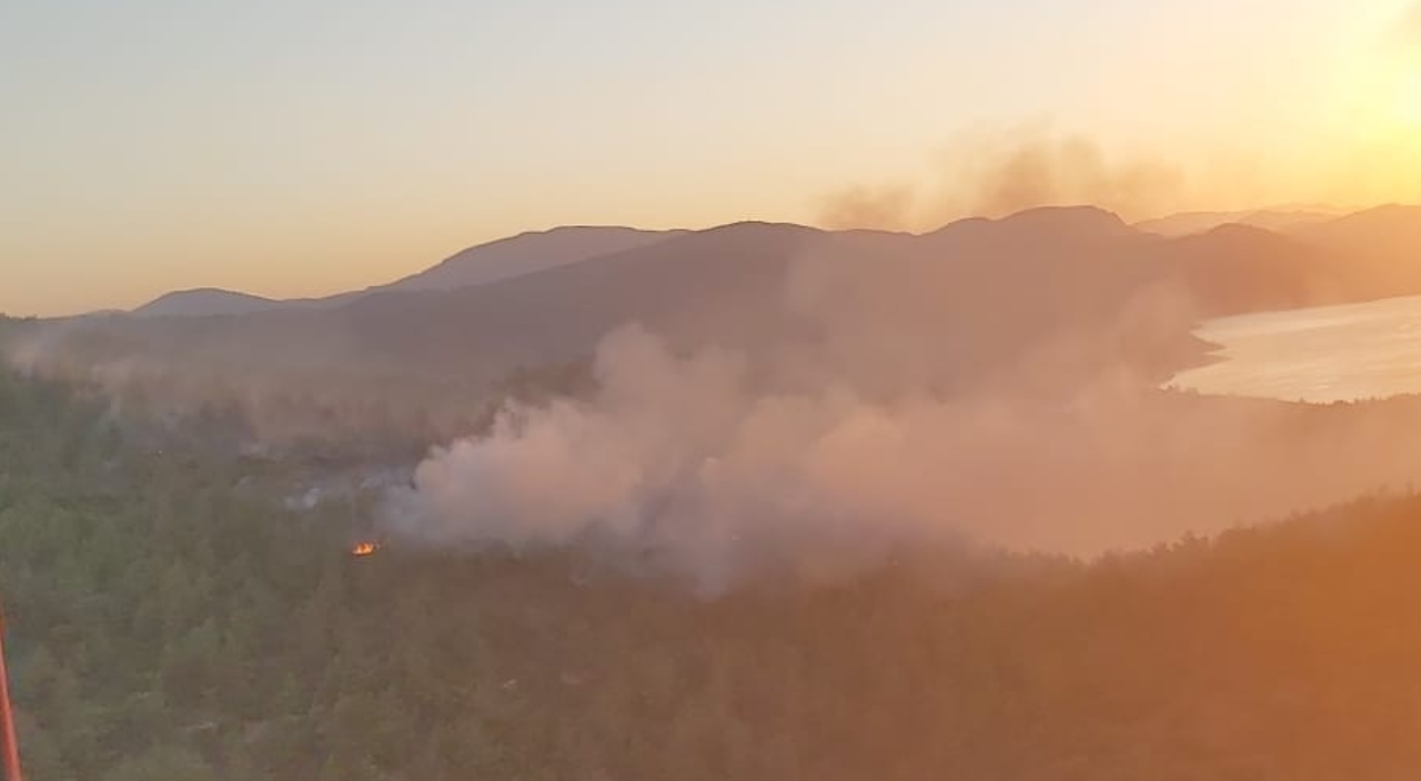 Bodrum'da çıkan orman yangını kontrol altına alındı